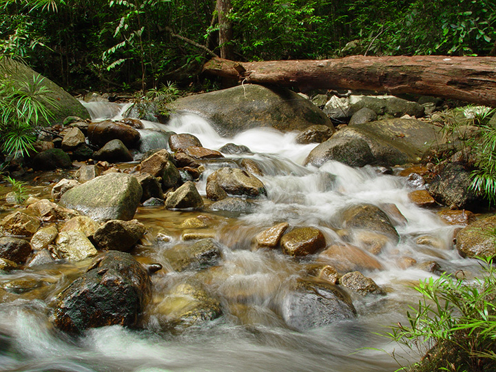 ledang-02
