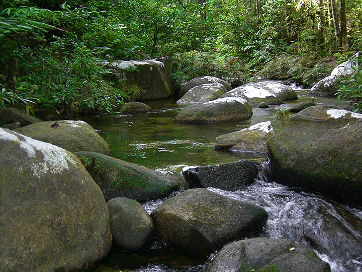 ledang-05