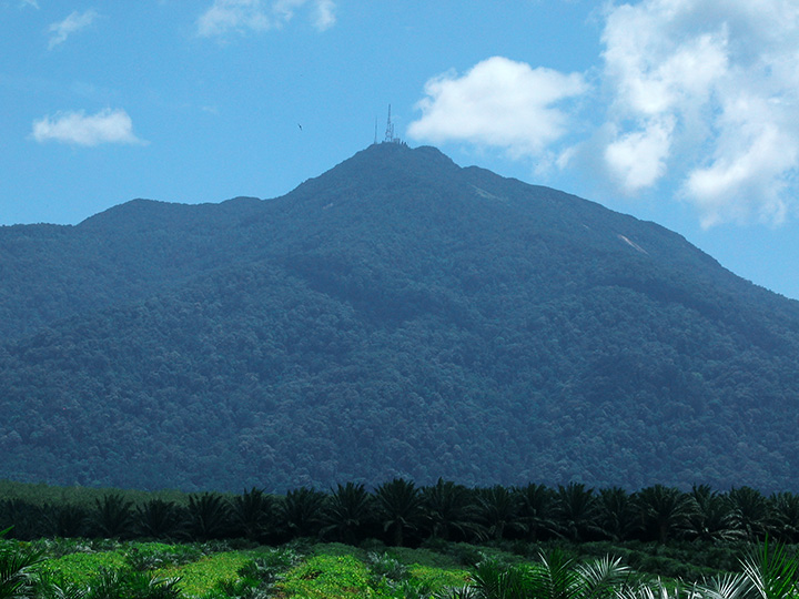 ledang-panoramic